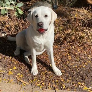 Meet your Posher, Ali